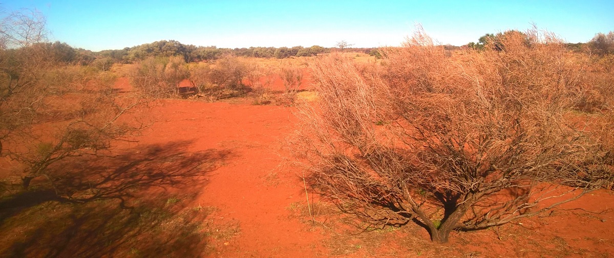 ͂ȂŊ́ȞȂ͒mĂ܂H